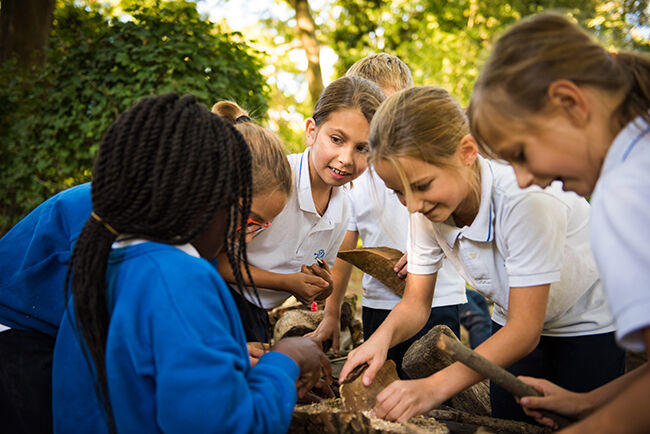 British School in The Netherlands