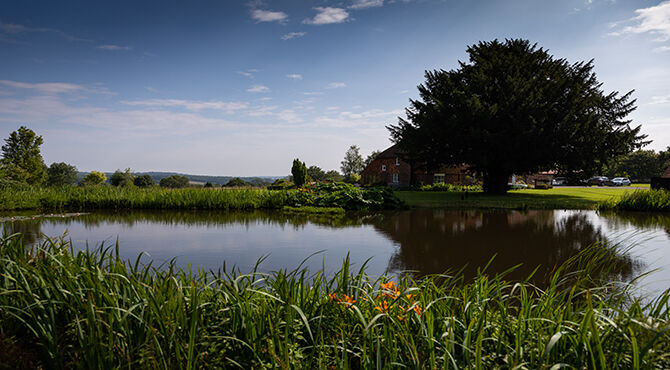 venue pond