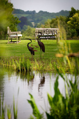 venue-pond-view-heron