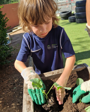 Mougins-School-outdoor-learning