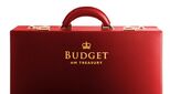 Budget red despatch case