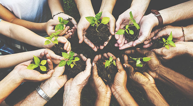 Hands holding green shoots of plans to illustrate an article about corporate social responsibility