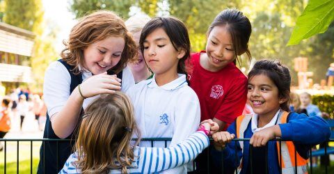 The British School in the Netherlands