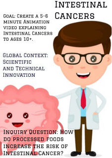 EIM graphic intestinal cancers