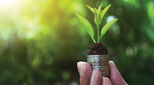 Hand holding a small pot with a green budding plant in it