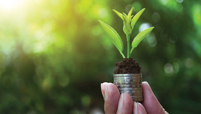 Hand holding a small pot with a green budding plant in it