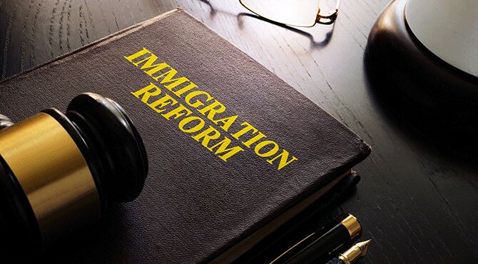 Immigration reform book