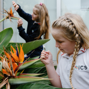 ISN-children-plants