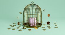 bird-cage-piggy-bank-stock-image