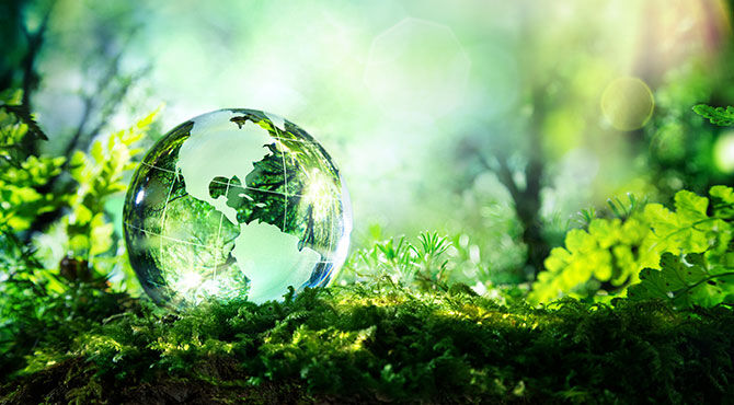 Illustration of a green globe in a forest