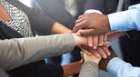 Talent development and diversity management