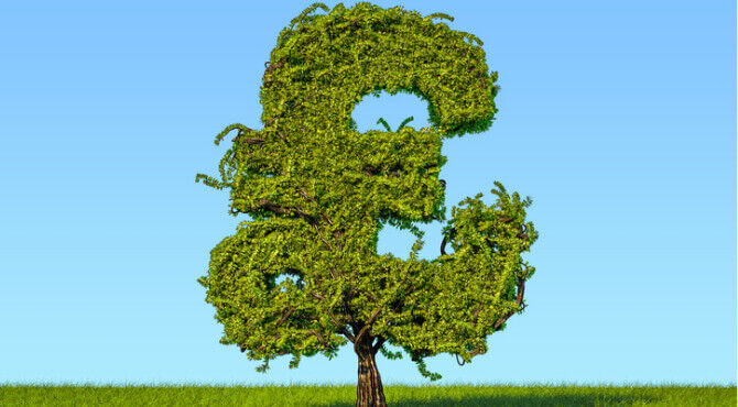 Tree shaped like pound sterling sign
