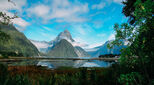 Pro-Link GLOBAL Immigration Dispatch: photo of New Zealand