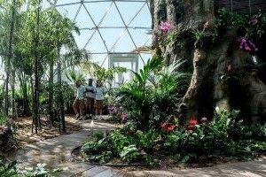 Arbor-school-dome-sml