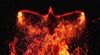 phoenix-flames-stock-image
