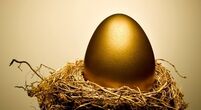 golden-egg-nest-stock-image