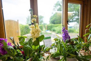 potting-shed-venue-view