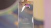 Awards-2025-trophy