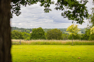 venue-view