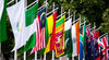 Row of flags of Commonwealth seated near Westminster and street Whitehall Place in London