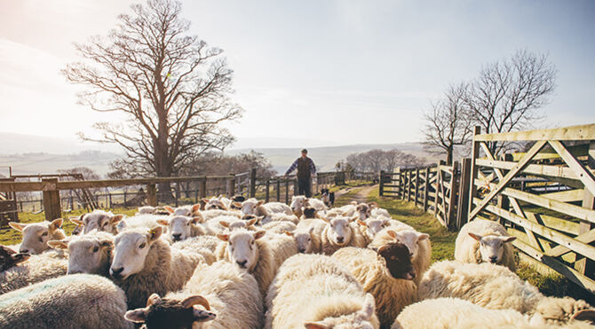 Trump-May trade deal worries UK agriculture