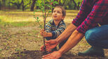 Young child planting a tree with father