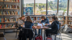 IBS-of-Provence-library