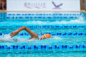 BISP-swimmer