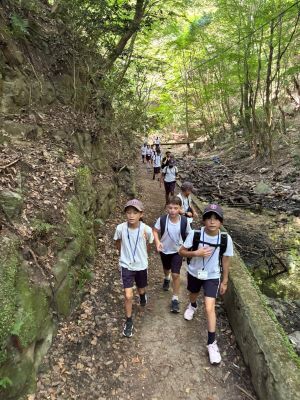 st-michaels-children-woods