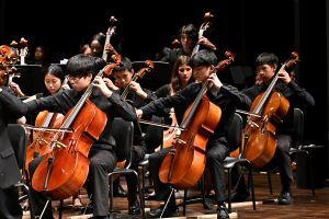 ISKL-music-strings