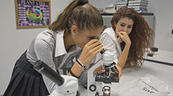 Hard work in the science lab at TASIS Switzerland