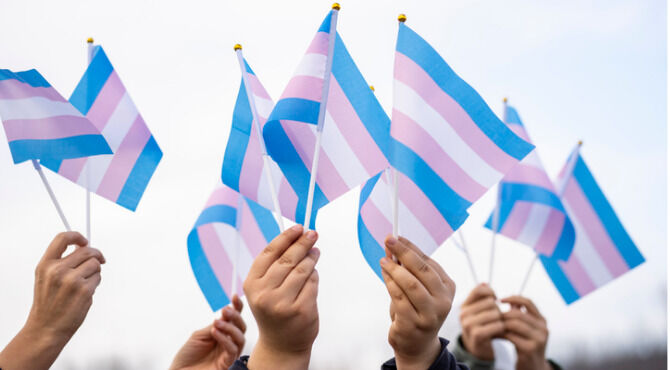 Transgender flags held by people on a demonstration