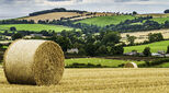 Landscape view of a UK farm