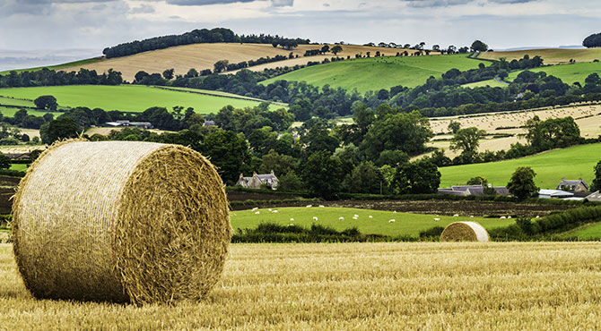 Landscape view of a UK farm